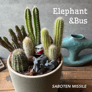 Elephant&Bus