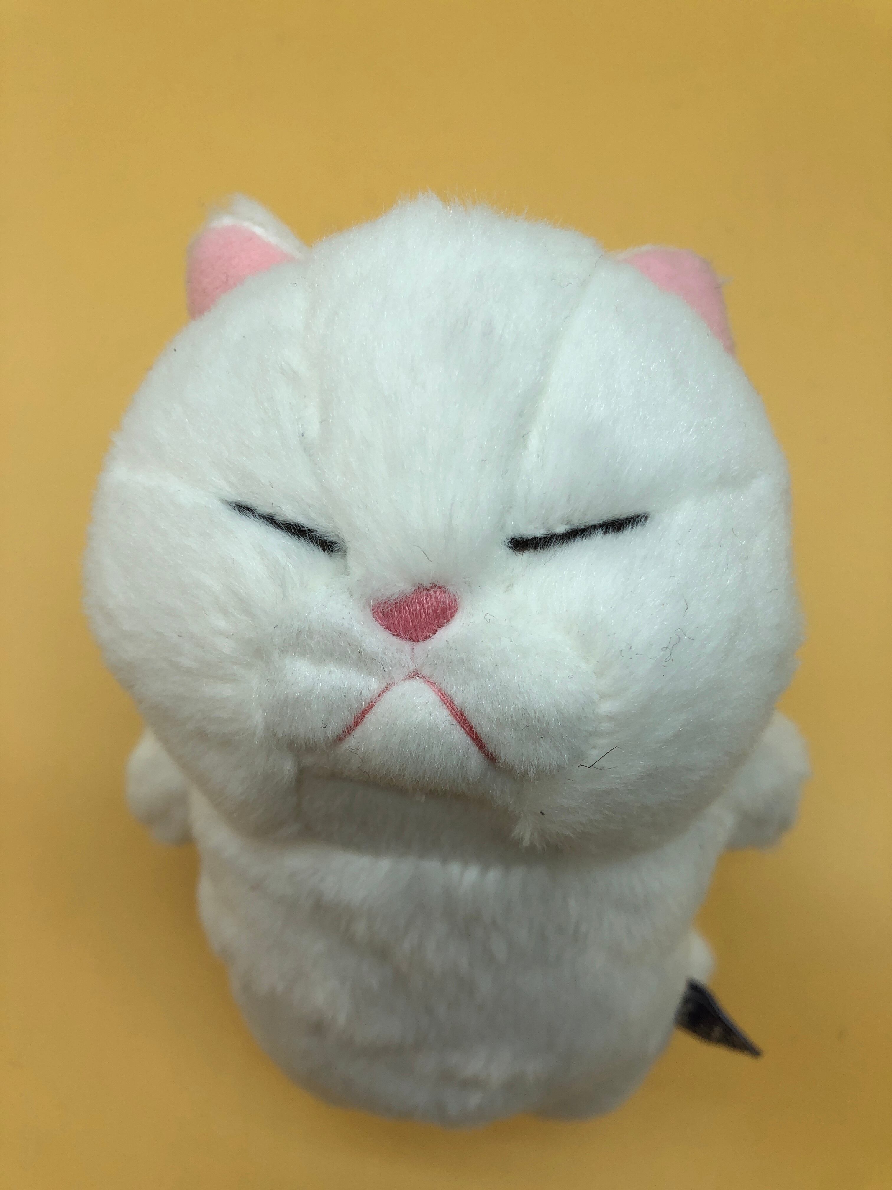 ぼうねこ | catslife