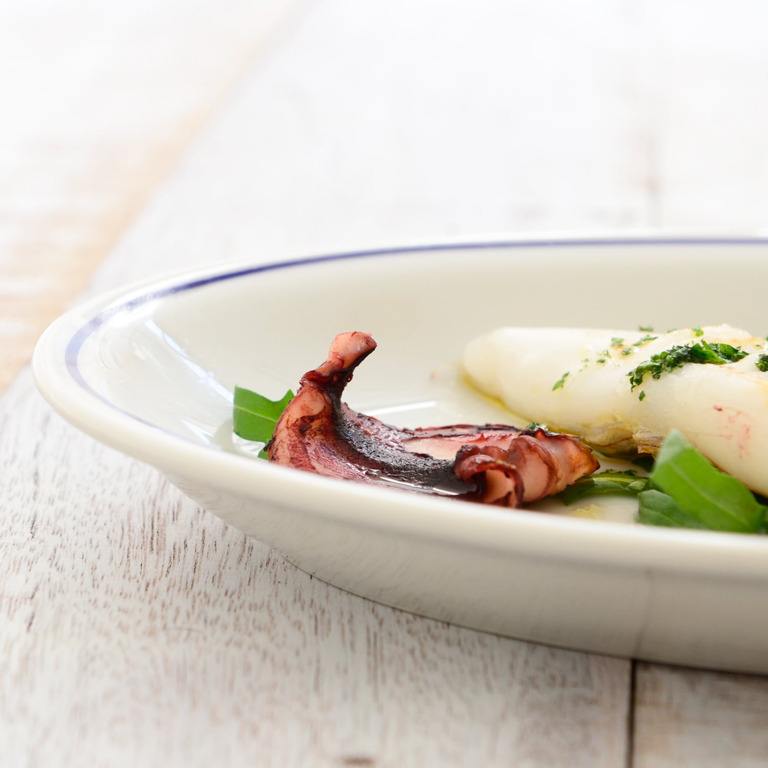 サタルニア ローマ ブルーライン オーバルプレート 27 | ザッカ