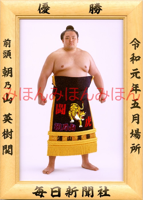 令和元（２０１９）年５月場所優勝　前頭　朝乃山英樹関（初優勝）