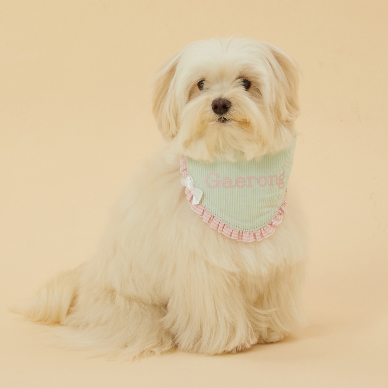 【予約】[ thesallyslaw ] Maybel Naming Bandana｜Mint stripe - 7