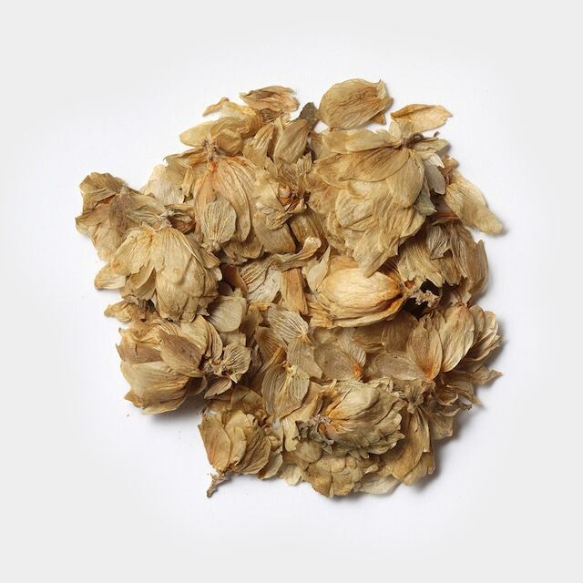 シングルハーブ ホップ(レギュラー50g)