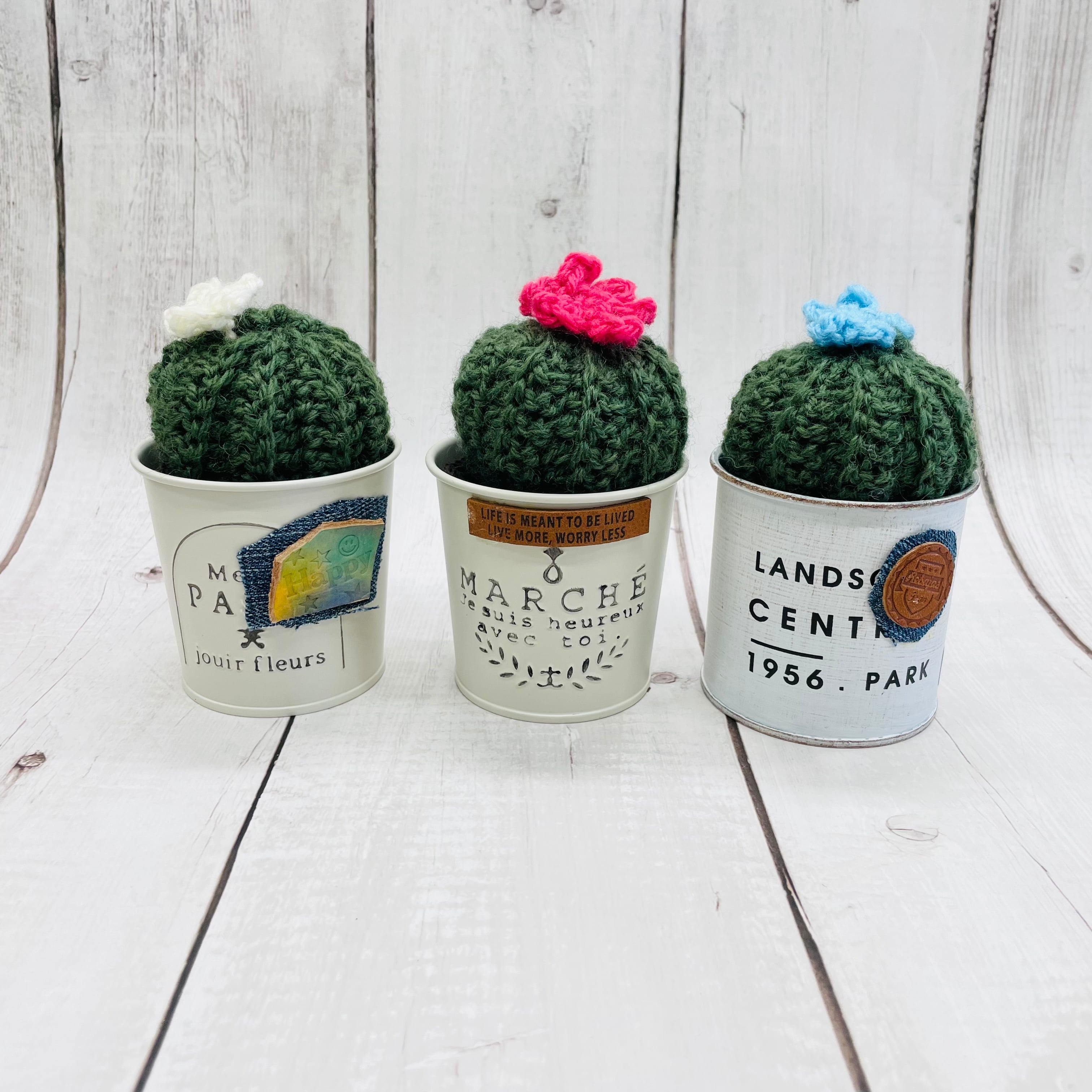 あみぐるみサボテン | miccuのおうちDX