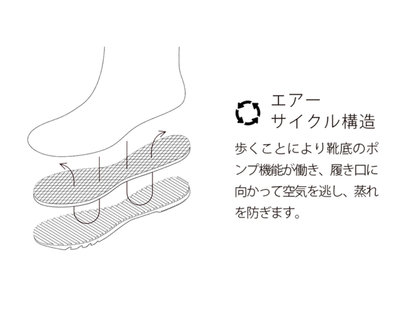 フィールドブーツ 急斜面、氷上向け【第一ゴム】ドライアイゼン 152【送料込み】