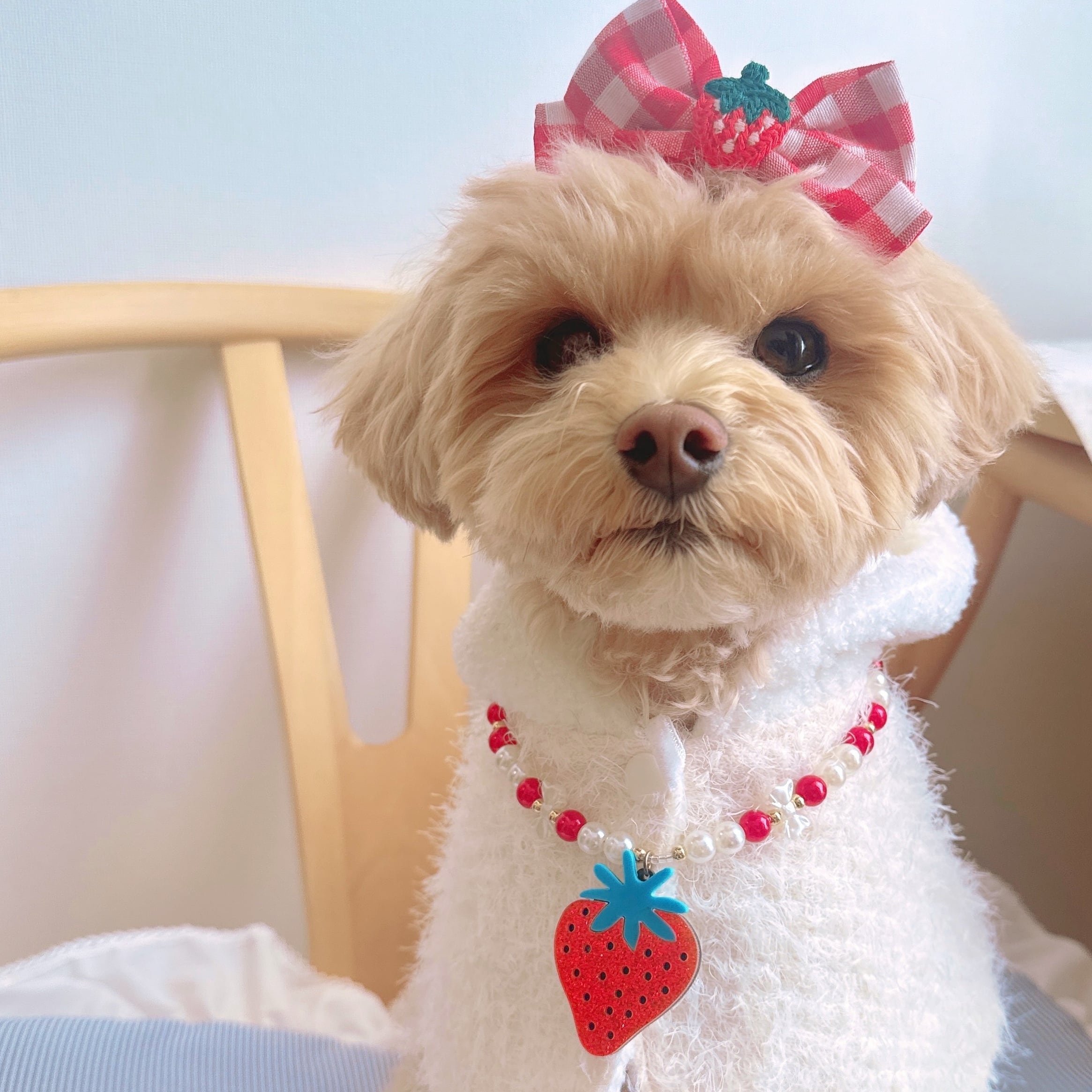 大きないちごネックレス