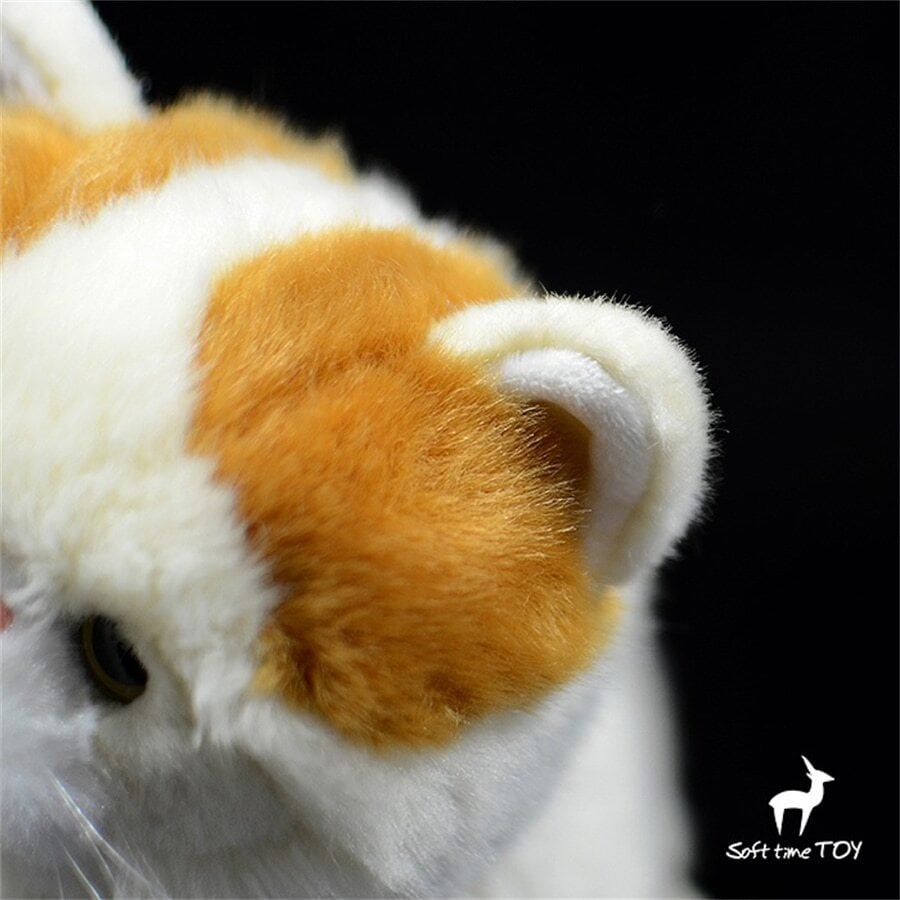 ☆ペルシャ猫☆ ぬいぐるみ・ | ぬいぐるみ専門店 くろにゃん