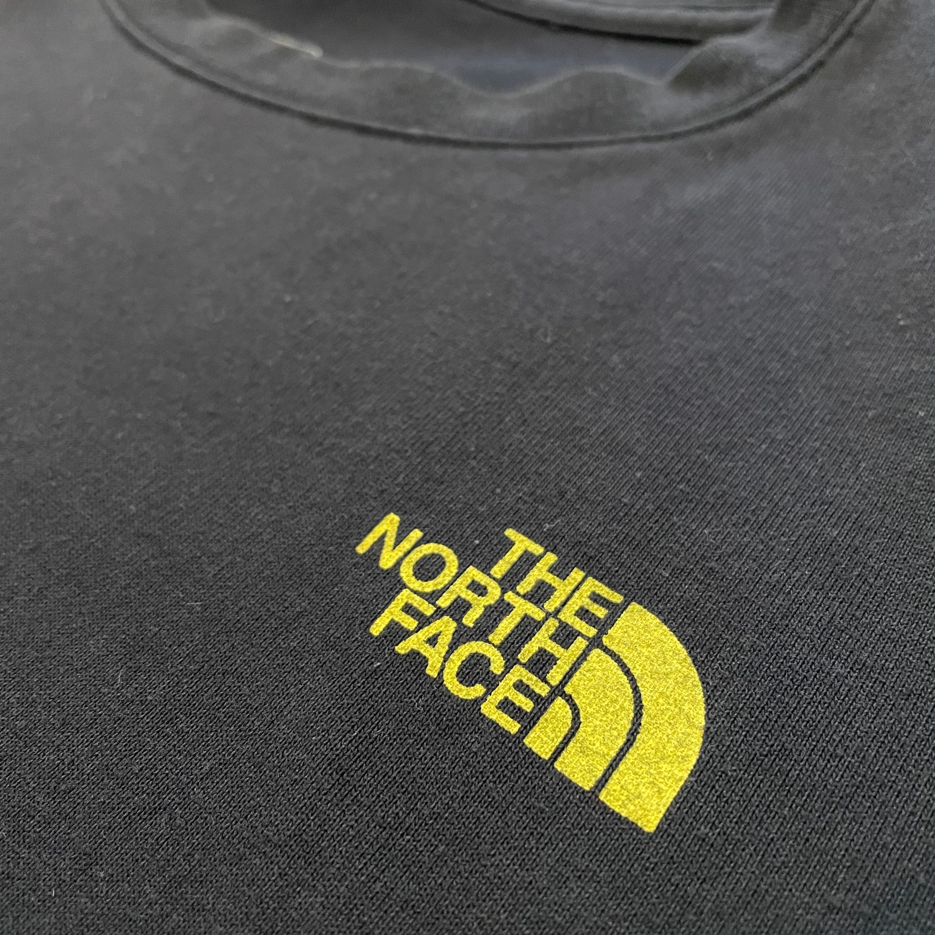 THE NORTH FACE】ボックスロゴ Tシャツ バックプリント ノースフェイス