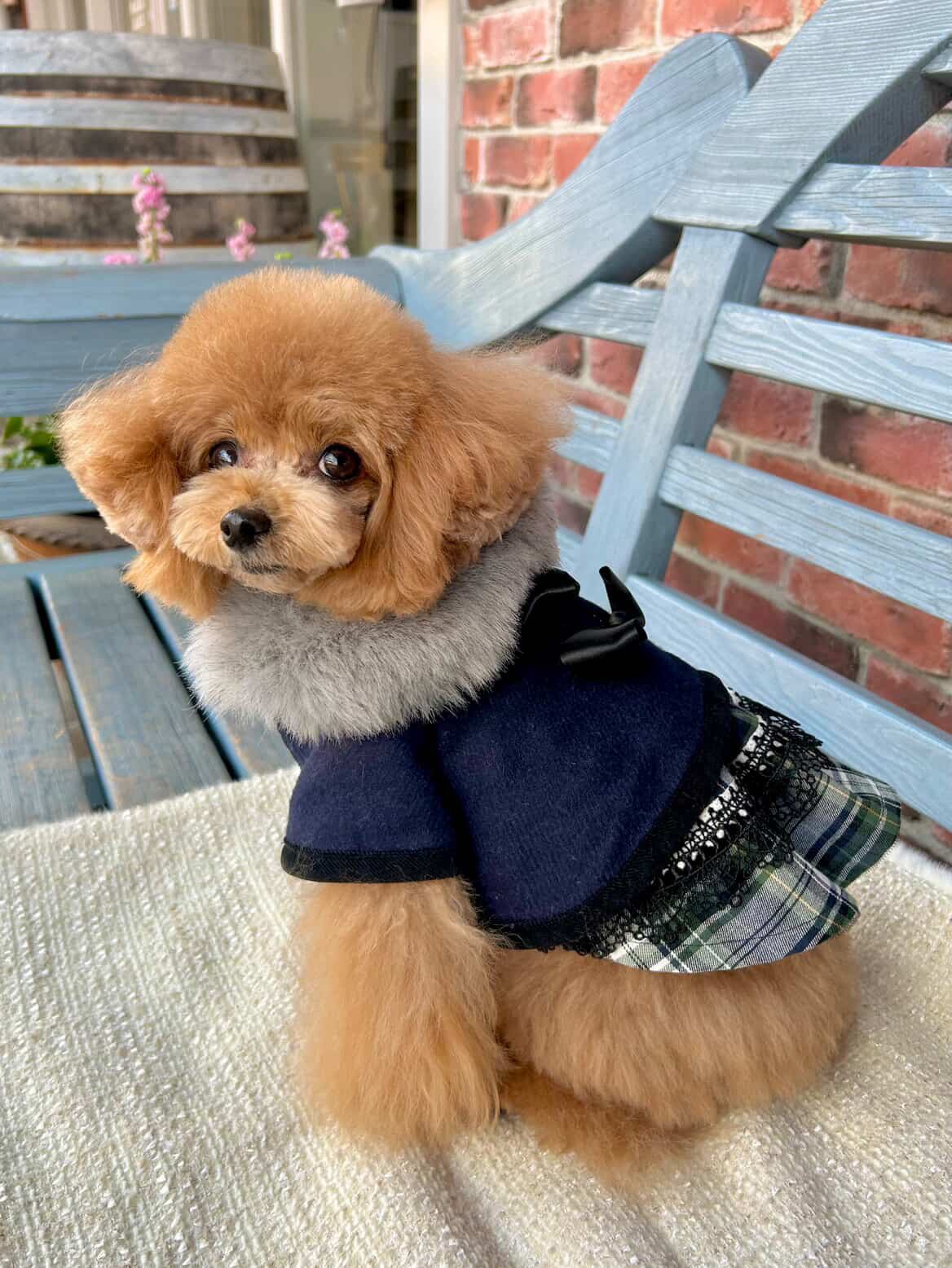 ファー襟付き・マントコート | plumeluxe