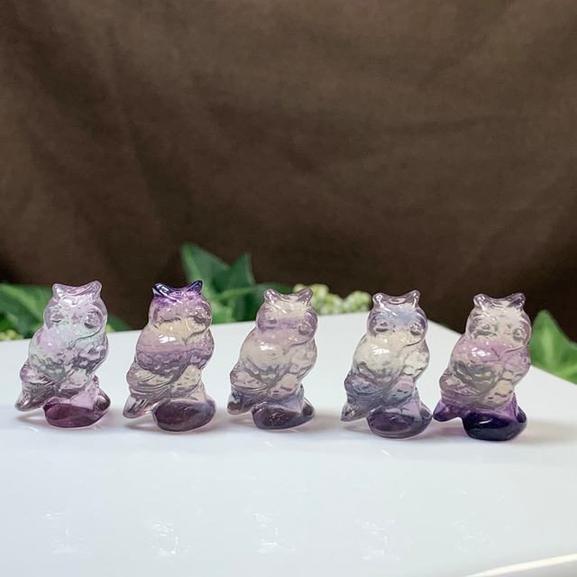 5.可愛い家族･小さいフローライトふくろう