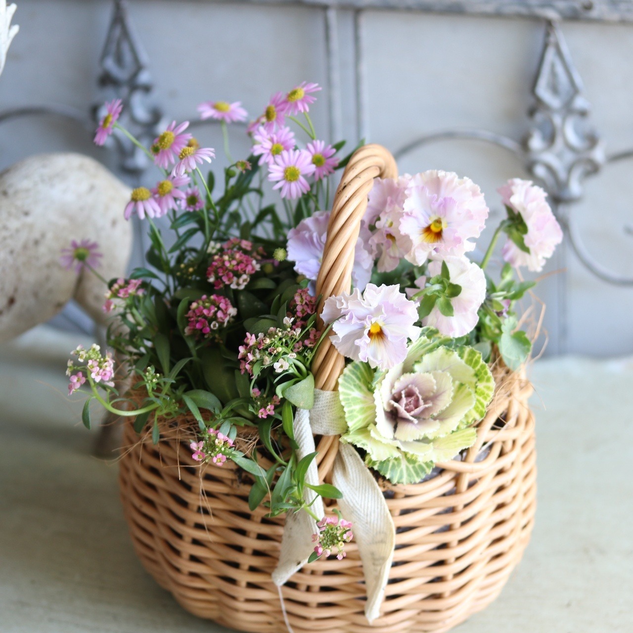 冬から春に楽しむ寄せ植え　ビオラティアードのピンクなカラーのハボタンのバスケットの寄せ植え　お正月にオススメ　届いてすぐ玄関に飾れる 　プレゼントにもオススメ　