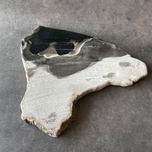 インドネシア産♦︎Petrified Wood ペトリファイドウッド　珪化木|slab スラブ|天然石　パワーストーン　鉱物　gem stone