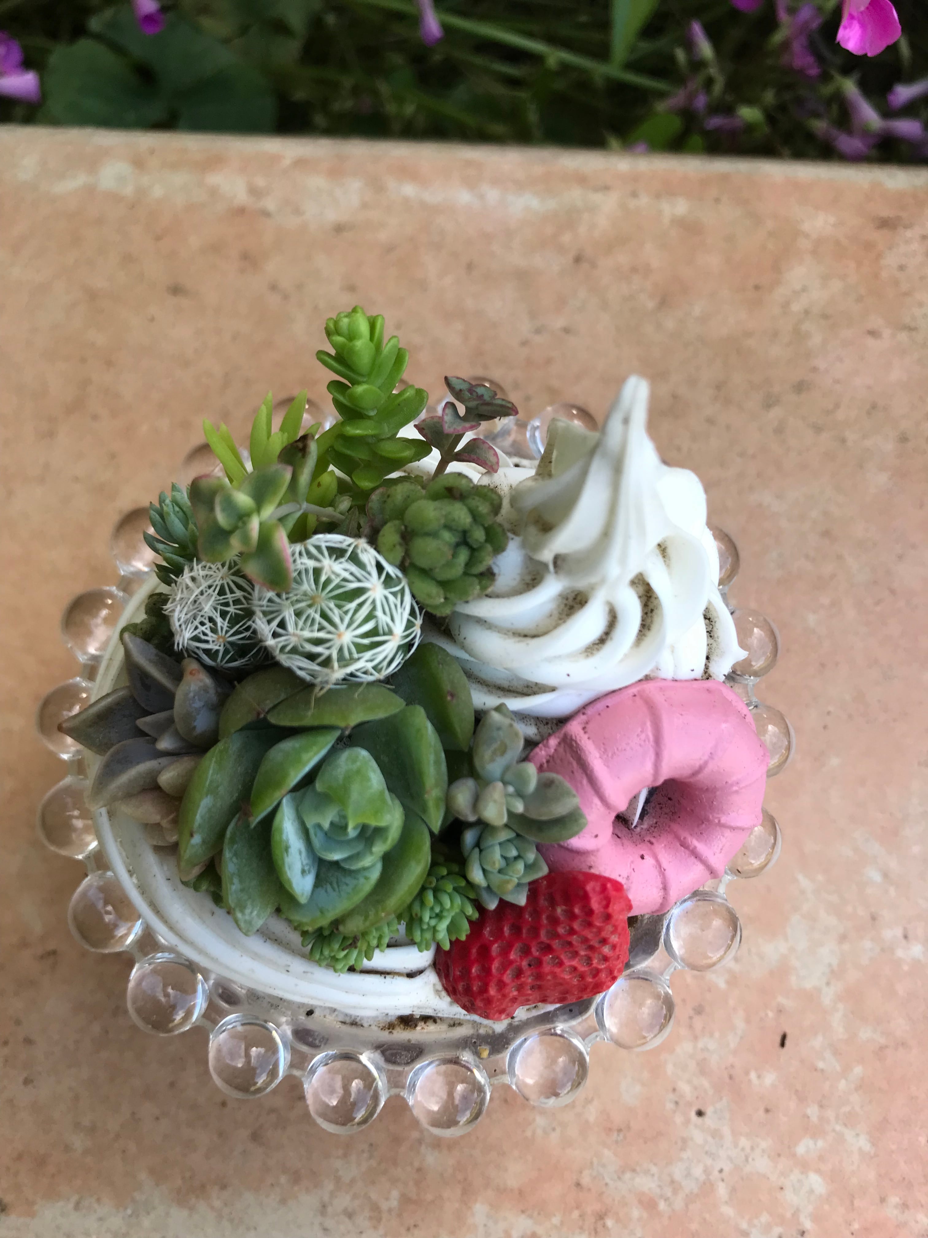 ・:*多肉植物そのまま飾れる・:*ゆらゆらイス多肉さん達・:*2個セット 多肉植物そのまま飾れる・:*ゆらゆらイス多肉さん達・:*2個セット 多肉