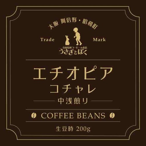 コーヒー豆：エチオピア イルガチェフェ（浅煎）