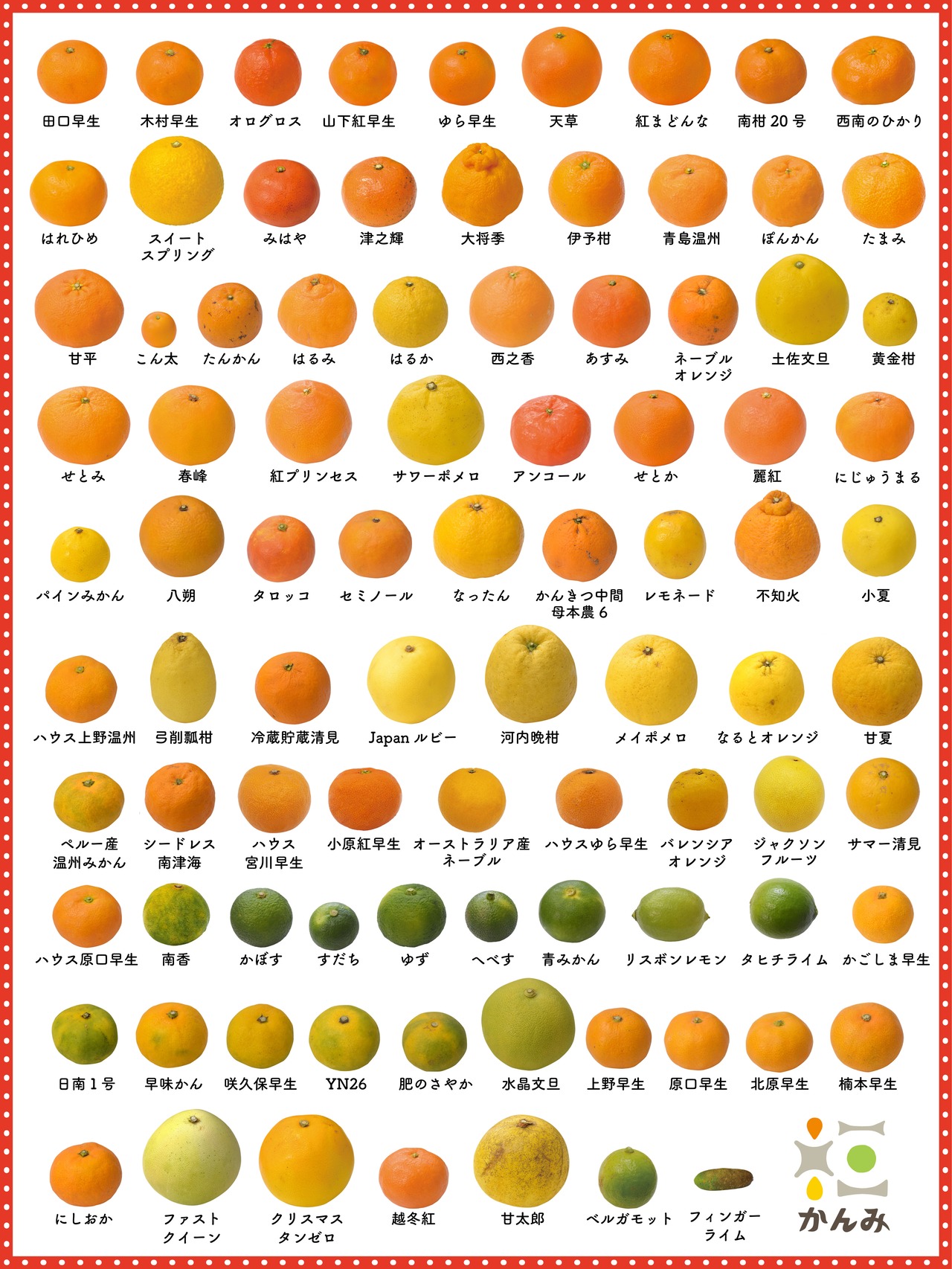 【買い切り・7種】かんみバカンスプラン（7種食べくらべ）