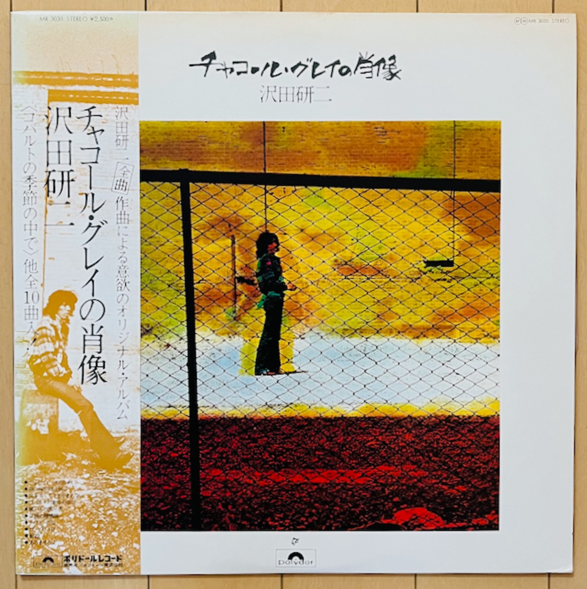 沢田 研二 / チャコール・グレイの肖像 | VINYL DEALER
