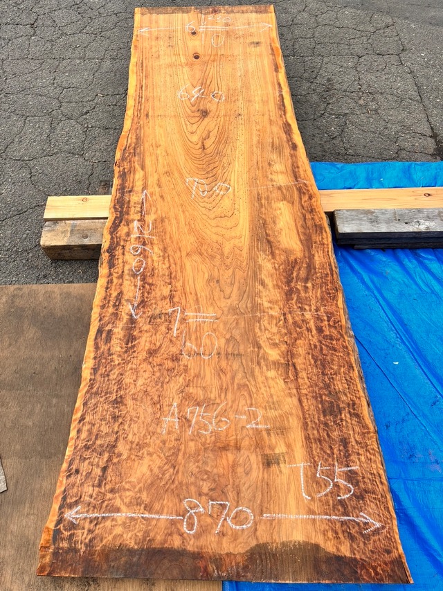 杉（スギ）_2160×870-620×55_原板 G2602