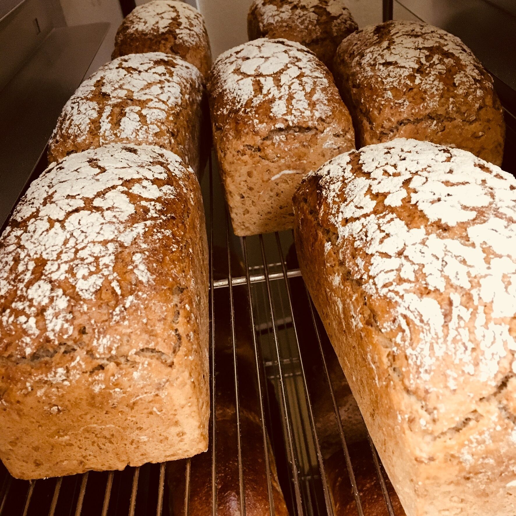 自家製サワー種使用》ドイツパンセット［M］ | パン屋「ラ・ブランジェ