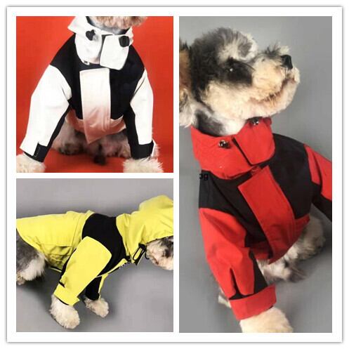 《予約》№1101982 オシャレウィンドブレーカー