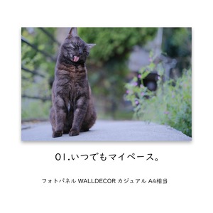 パネル : 01.いつでもマイペース。