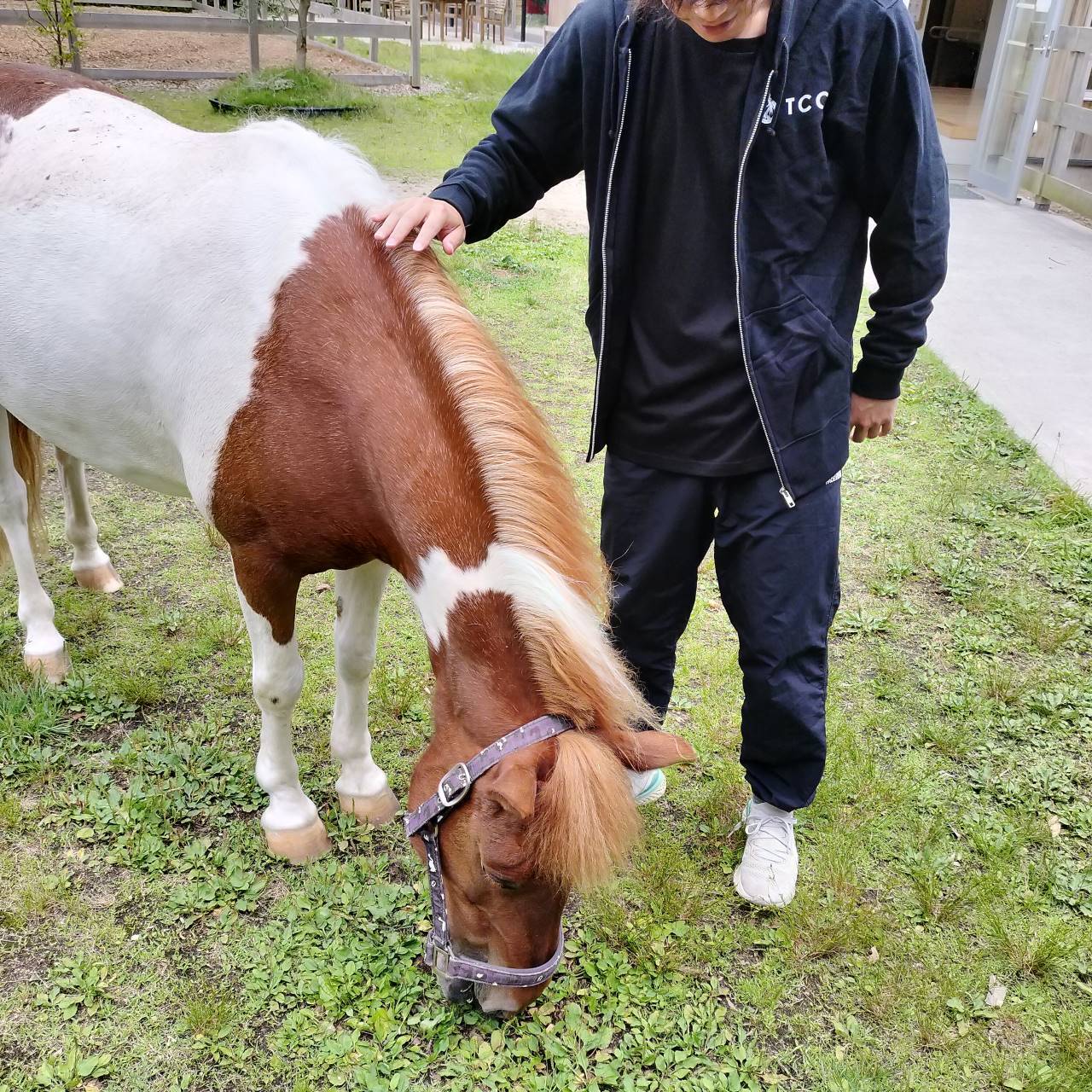 TCC x 馬Site ジップアップパーカー ロゴ | TCC ONLINE STORE