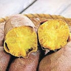 栗かぐや Lサイズ 20kg さつまいも 栗のような味わい 山形県産 さつまいも 栗かぐや 2kg - こだわり山形