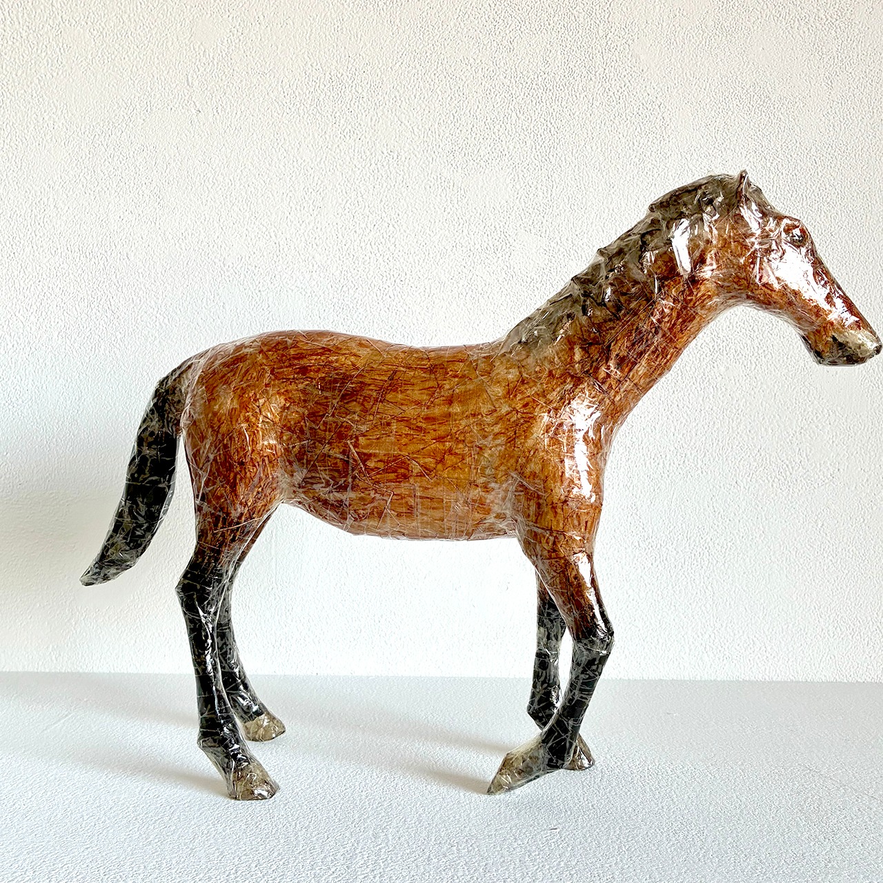 植田 楽さん／#43 ベルジャン