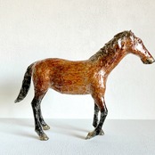 植田 楽さん／#43 ベルジャン