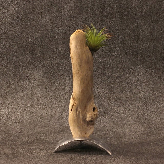 流木オブジェ RO-1009 | PEG PRODUCTS