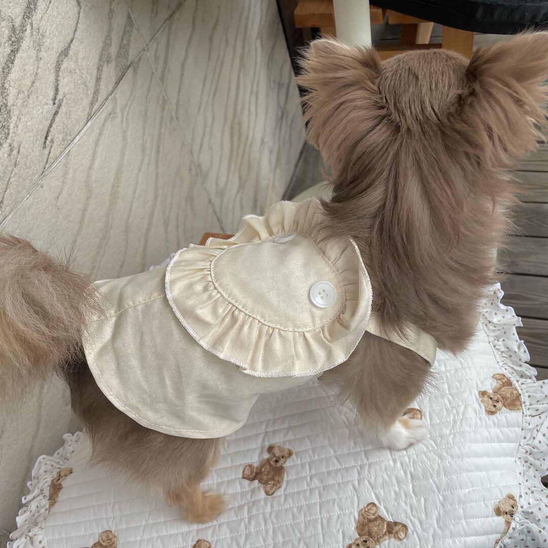 ハートモチーフジャンパースカート ◎犬服 | luminous