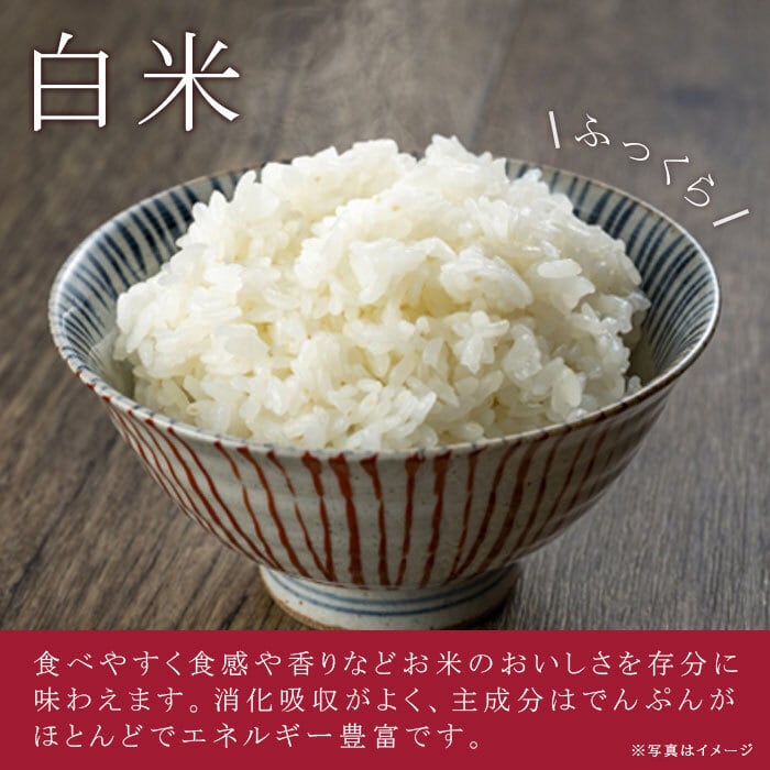 新米 令和7年産 ササニシキ玄米10kg（精米10kg） 【送料無料】 | 【農
