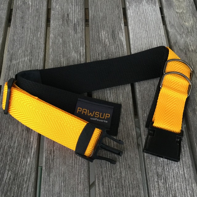 首輪 オレンジ 50mm幅