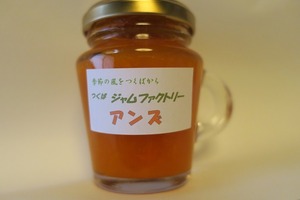杏子ソース