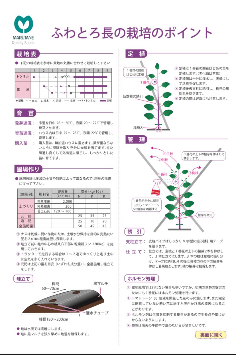 ふわとろ長なす20粒」 | wakabaseed