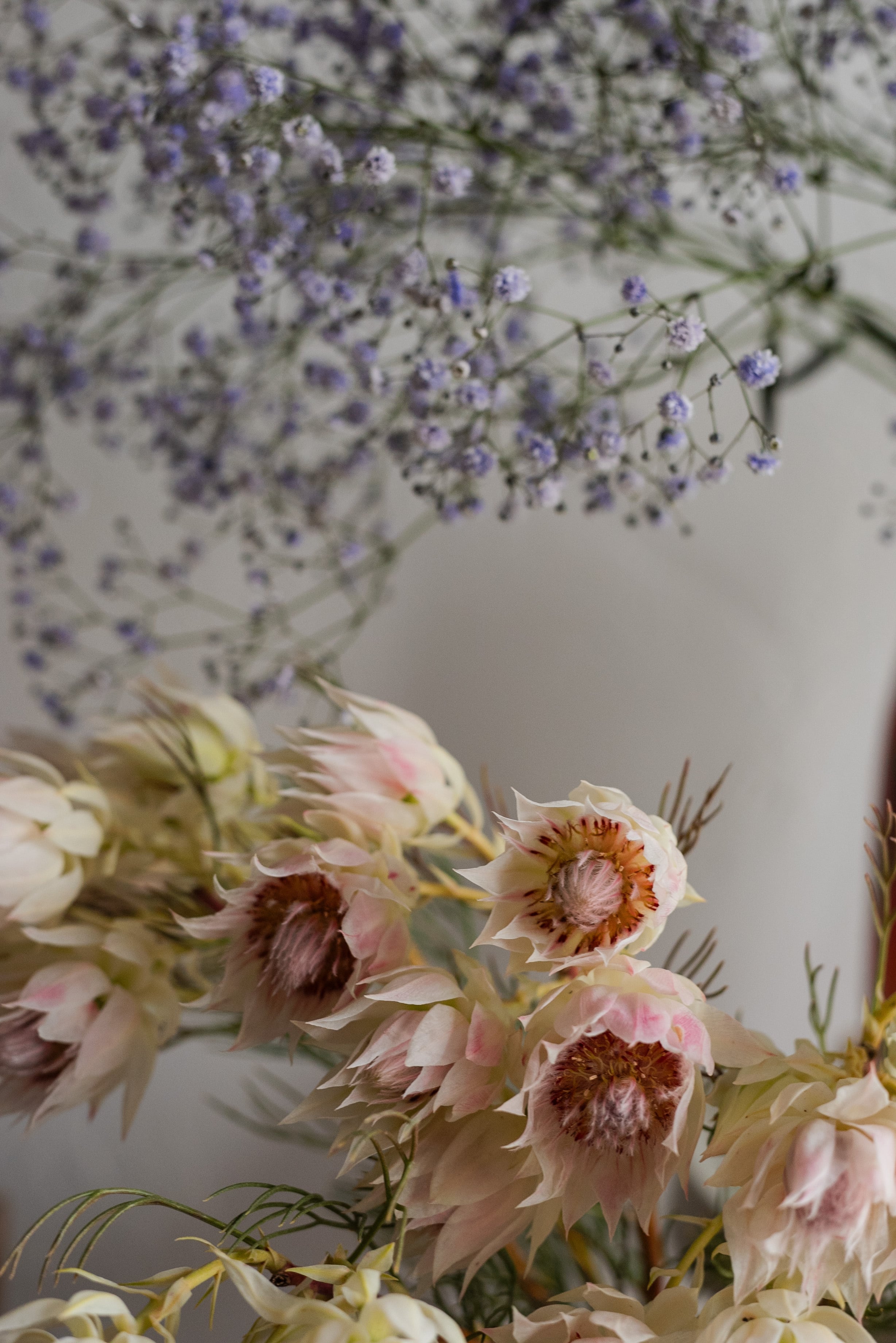 WORKSHOP #09｜2025.10.04 Sat. 開催 "レベル不問！季節の花と楽しむ写真レッスン"