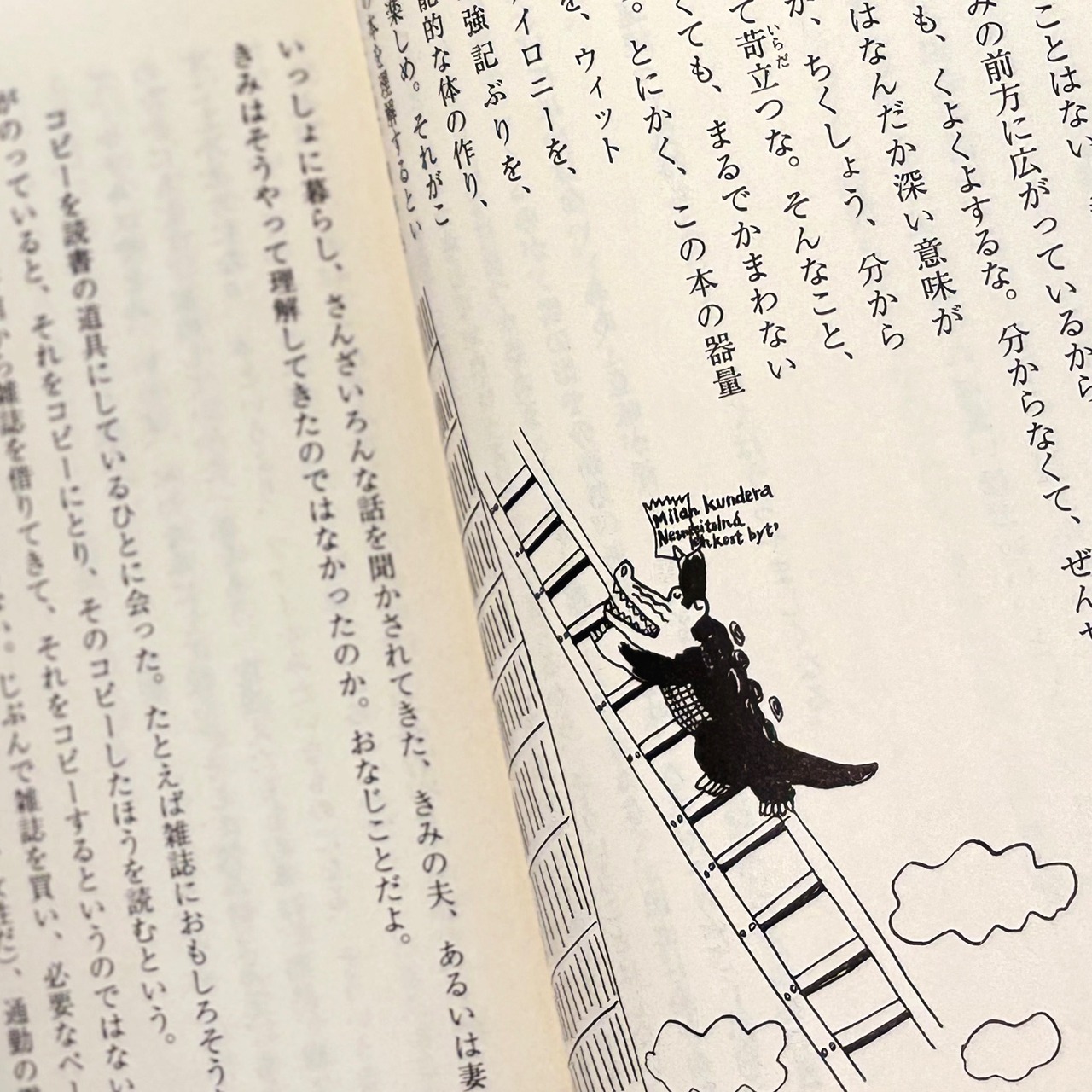 本は眺めたり触ったりが楽しい