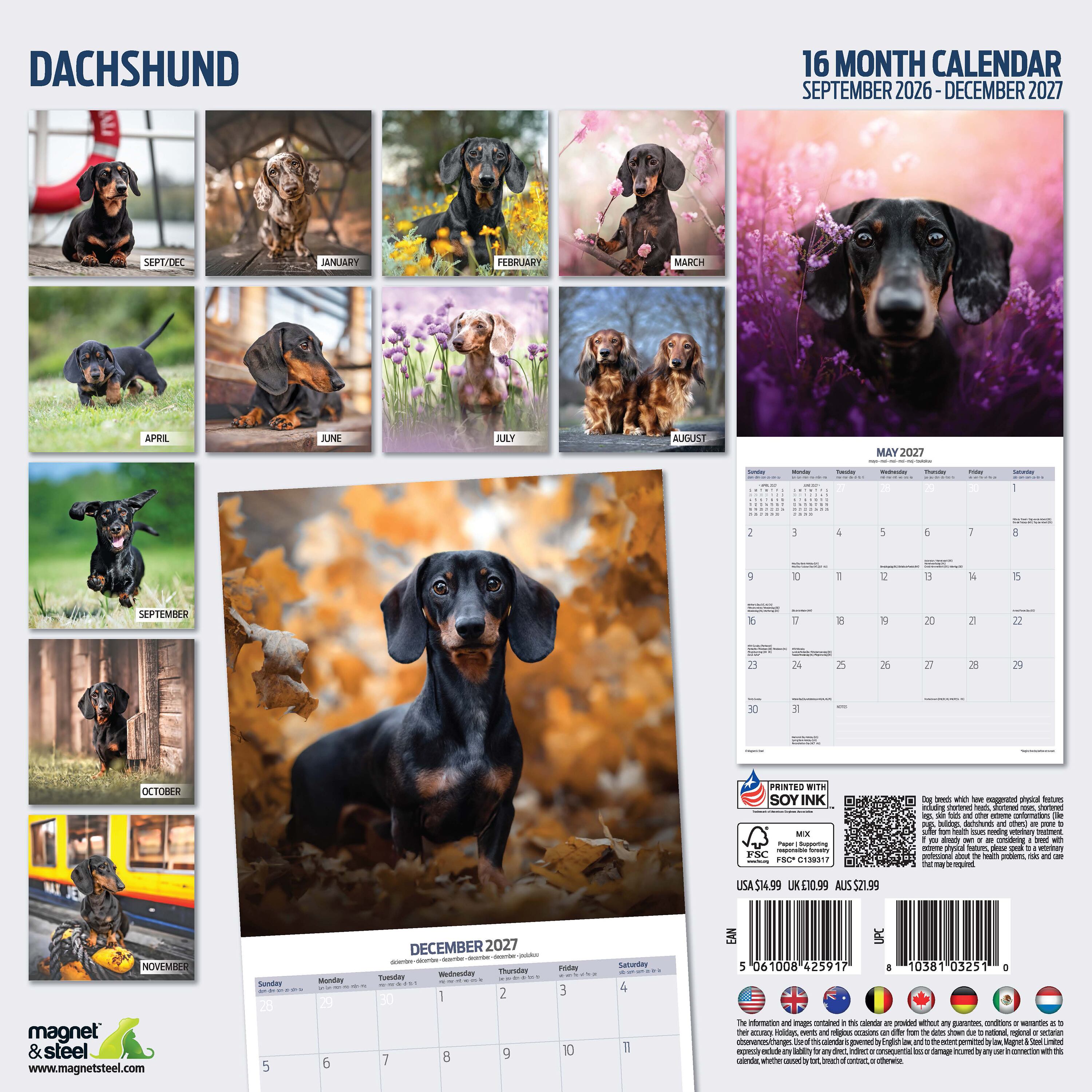 【2027年版】英国製犬種カレンダー【ダックスフント】Traditional 2027年版
