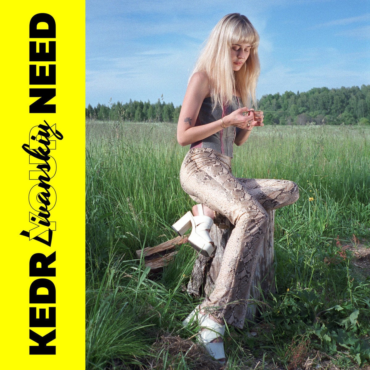 Kedr Livanskiy - Your Need (LP)