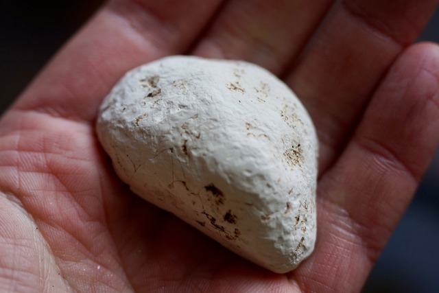 ロイヤルインペリアルジャスパー　Royal Imperial Jasper ⑦