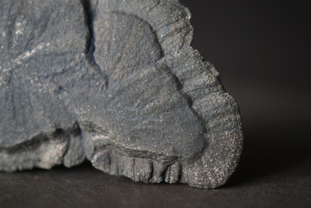 パイライトサン Pyrite Sun 1676