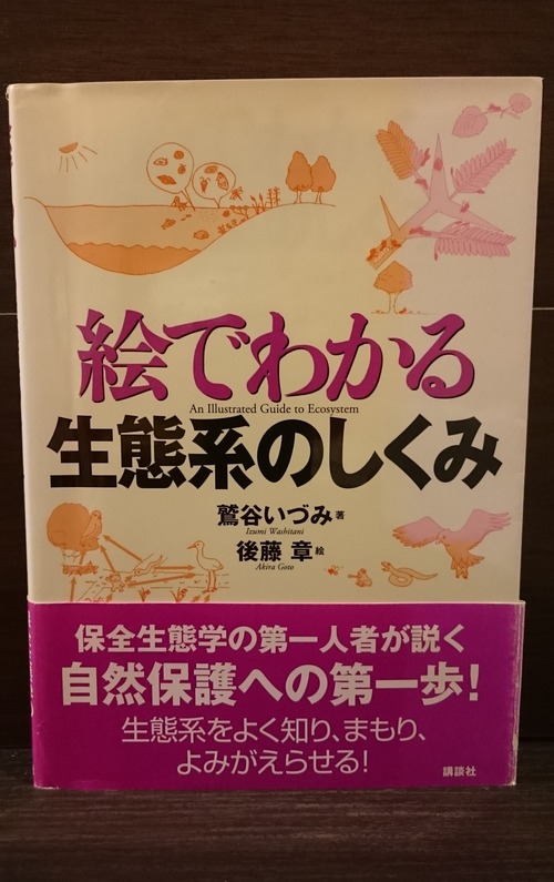 絵でわかる生態系のしくみ