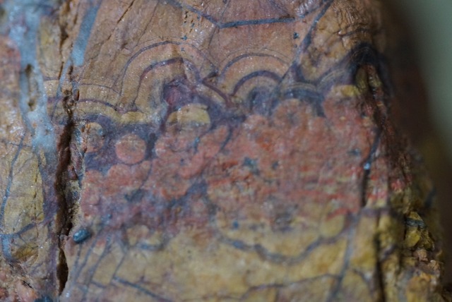 モーガンヒル・ポピージャスパー　Morgan Hill Poppy Jasper