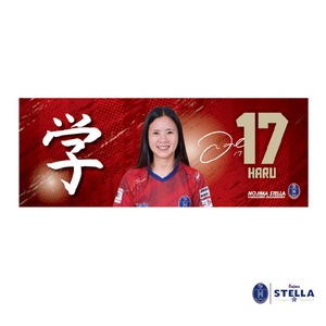 25-26 ステラ プレイヤーズタオル #17川島はるな