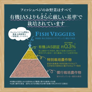 【FISH VEGGIES】レッド系レタス 60g　化学肥料/農薬不使用だから安心して食べられる