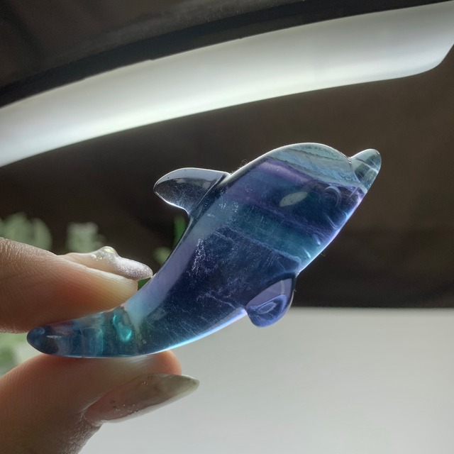 5.海のアニマル♪♪フローライトイルカ☆