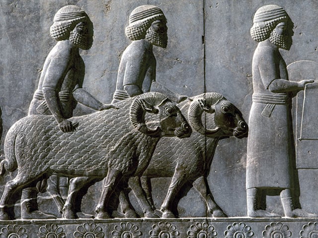 a02e6d1d24e7db92e9265f0a5fdc11