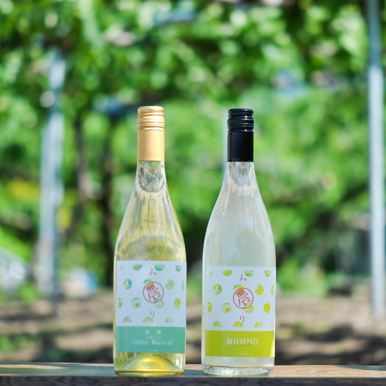 【農楽蔵】Raro Frizzante Aromatico 2015 750ml 農楽蔵 ラロ・フリッツァンテ・アロマティコ 2015 入荷 | 會津酒楽