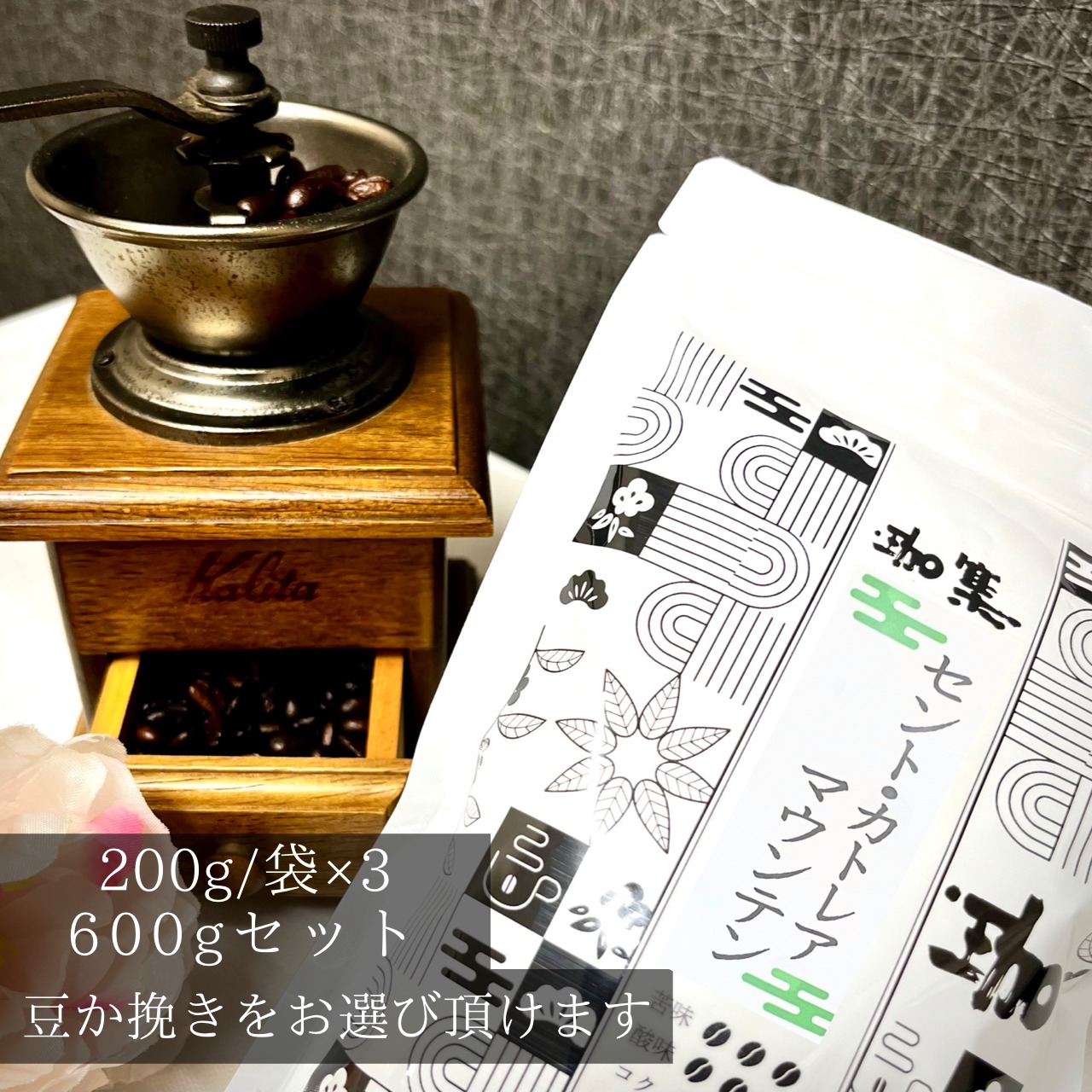 ●セント・カトレアマウンテン (コスタリカ)600ｇセット