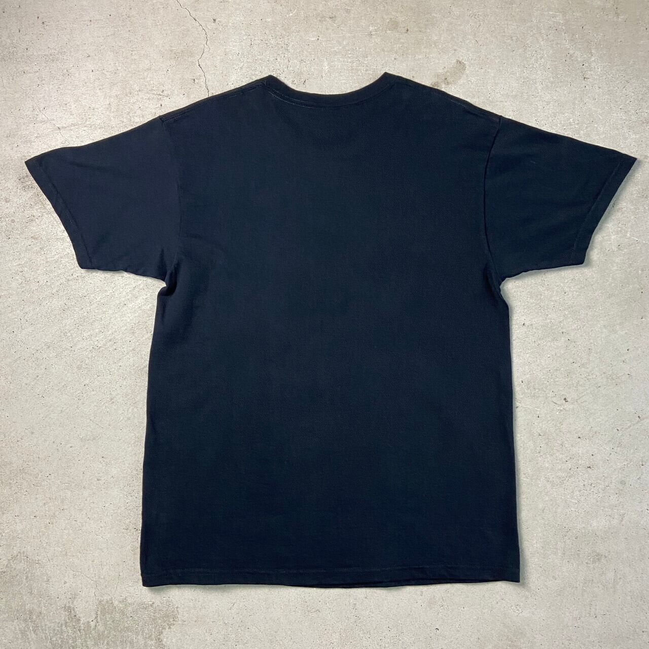 AALIYAH アリーヤ アーティスト バンドTシャツ メンズM 古着 フォト