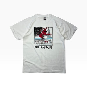 90s Good ”F” T-Shirt   ”BAR HARBOR，ME” Tシャツ グッドレギュラー ヘインズ フルーツ