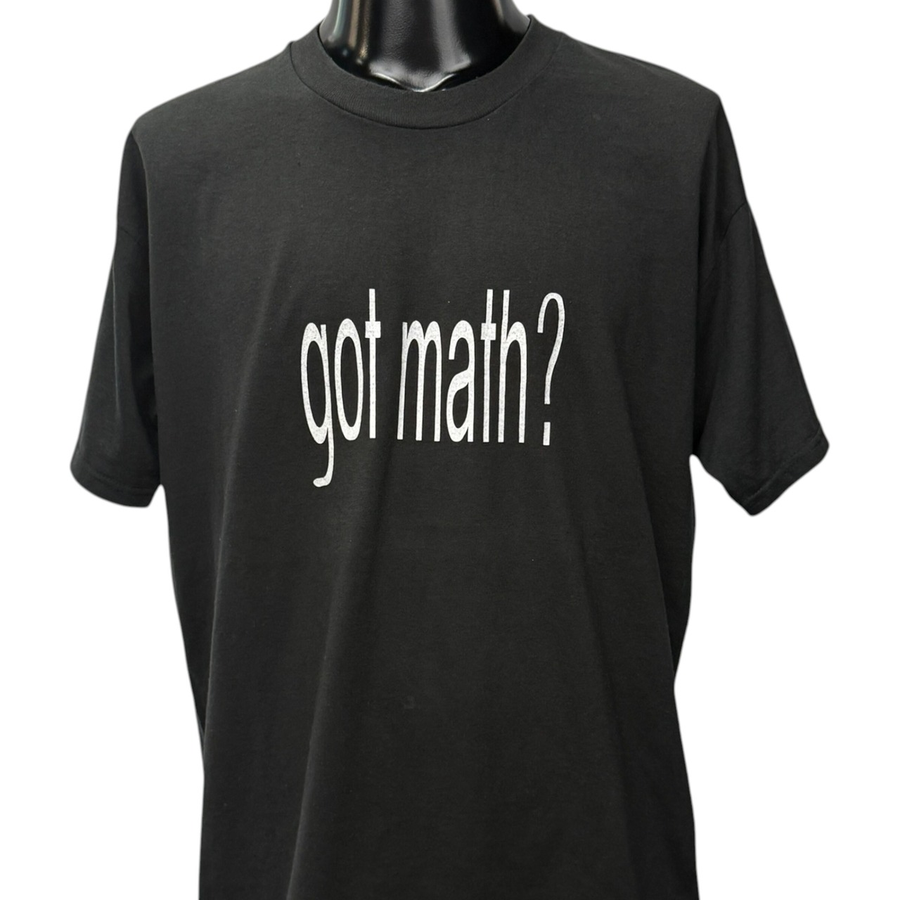 【UAF Department Of Mathematical Sciences】アラスカ大学フェアバンクス校 数科学科 "got math?" 90's-00's Vintage Tシャツ